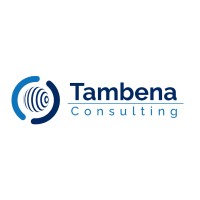 Tambena Consulting logo - Similar company to Ps Tecq