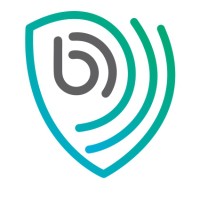 Bulwarkers logo - Similar company to Esecurify Technologies