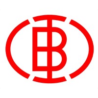 Baroda Bushings & Insulators LLP logo - Similar company to Electrical Controls & Systems