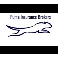 Puma Insurance Brokers logo - Similar company to Rewealth