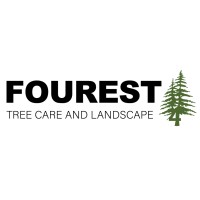 Fourest Tree Care and Landscape logo - Similar company to The Mentor Group, Inc.
