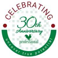 Professional HR Agency logo - Similar company to Mindit Hr Agency