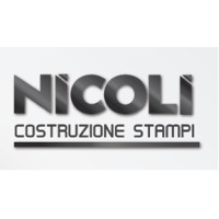 Nicoli Costruzione Stampi logo - Similar company to Stamec Srl - Costruzione Stampi