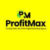 ProfitMax logo - Similar company to Media Buyer