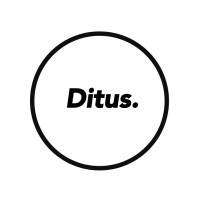 Ditus logo - Similar company to Bee8 Studio