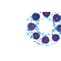 da Vinci Consulting logo - Similar company to Davinci Consulting Group