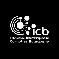 Laboratoire ICB logo - Similar company to Publistick