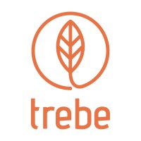 Trebe logo - Similar company to Bricks&People