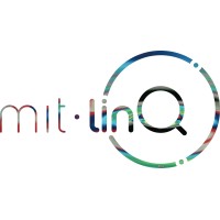 MIT linQ logo - Similar company to Foresee