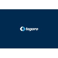 tegoro logo - Similar company to Meritorium