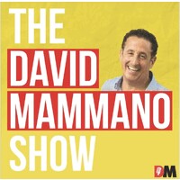 The David Mammano Show logo - Similar company to Prism Immersive