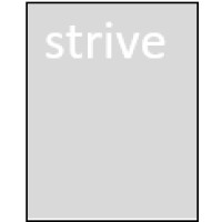 Strive! logo - Similar company to Omes Bv