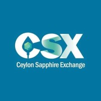 CSX logo - Similar company to Daniela De Marchi Milano