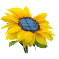 NaturalSun.es logo - Similar company to Over-2-Tom'S