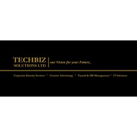 Techbiz (Mauritius) Solutions Ltd logo - Similar company to Future@Stake