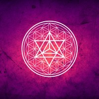 The Transformational Lab logo - Similar company to Anamify