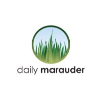 Daily Marauder logo - Similar company to Fiscal Solutions Llc