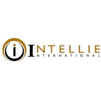Intellie International Pte Ltd logo - Similar company to Intelli-Net