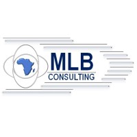 MLB Consulting logo - Similar company to Mindcom