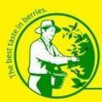 Pomona Frutas logo - Similar company to Hortah Hortaliças Hidropônicas Especiais