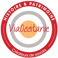 ViaOccitanie logo - Similar company to Viàoccitanie