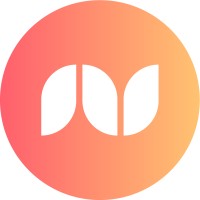 NuLight Consultancy logo - Similar company to Upriver Creative Ltd - Navigating Design Solutions Together