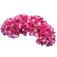 Celosia Therapeutics logo - Similar company to Dataco Labs