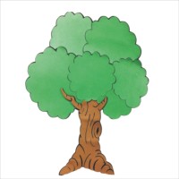 Secretaria Municipal De Meio Ambiente