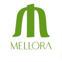 Mellora Infrastructure Pvt Ltd logo - Similar company to Man Realty