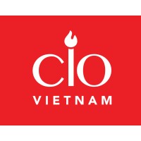 CIO Coaching logo - Similar company to Bluetechx