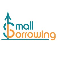 SmallBorrowing logo - Similar company to Wellwisher Group - India