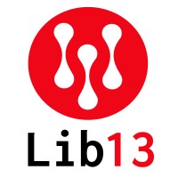 Lib13 logo - Similar company to Cyber Defenders