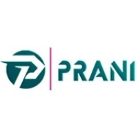 PRANI ENGINEERING CONSULTANTS logo - Similar company to Conseil Technology