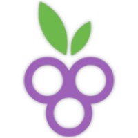 Berry Therapy logo - Similar company to Linear Land Surveying Pty Ltd