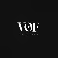 VisioForte logo - Similar company to Geomodes