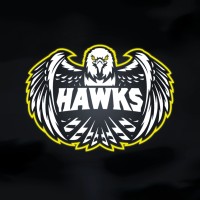 Hawks logo - Similar company to Maycam Evolve Gaming Esport Team