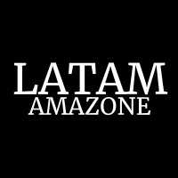 LATAMAZONE logo - Similar company to Ergenia