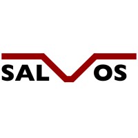 Salvos Technologies logo - Similar company to Icav Project