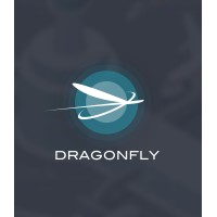 DragonFly logo - Similar company to Executive Airlink Inc