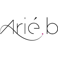 Arié.B logo - Similar company to Wegoboard