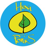 Hexaponics logo - Similar company to Automated Systems Engineering Experts