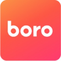 Boro logo - Similar company to Eye0