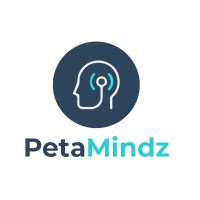 Petamindz logo - Similar company to Domi Technologies