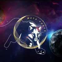 META-FORCE logo - Similar company to Digital Residency