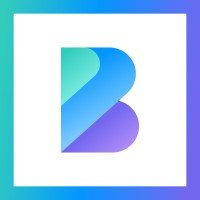 BigBrainy Infotech logo - Similar company to Sarvagya Softtech