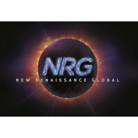 NRG Events - International Immersive logo - Similar company to Ogle Property Solutions