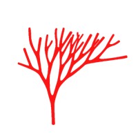 Red Coral Advisors logo - Similar company to Leapfrogbi
