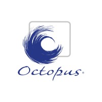 Octopus Group logo - Similar company to Spun Spirits Pte Ltd
