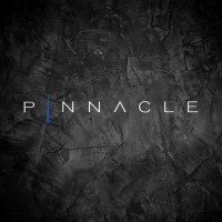 Pinnacle International Sports and Media Management Limited logo - Similar company to Polymatch Agency