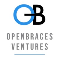 OpenBraces logo - Similar company to Picsoftware